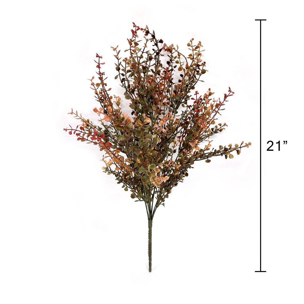 Red Baby's Grass Bush 21"