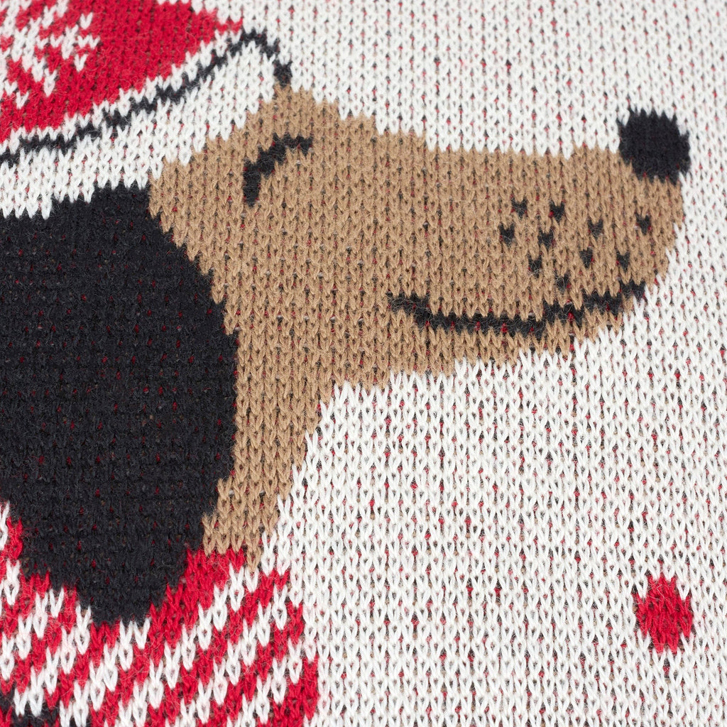 Winter Dachshund Pillow