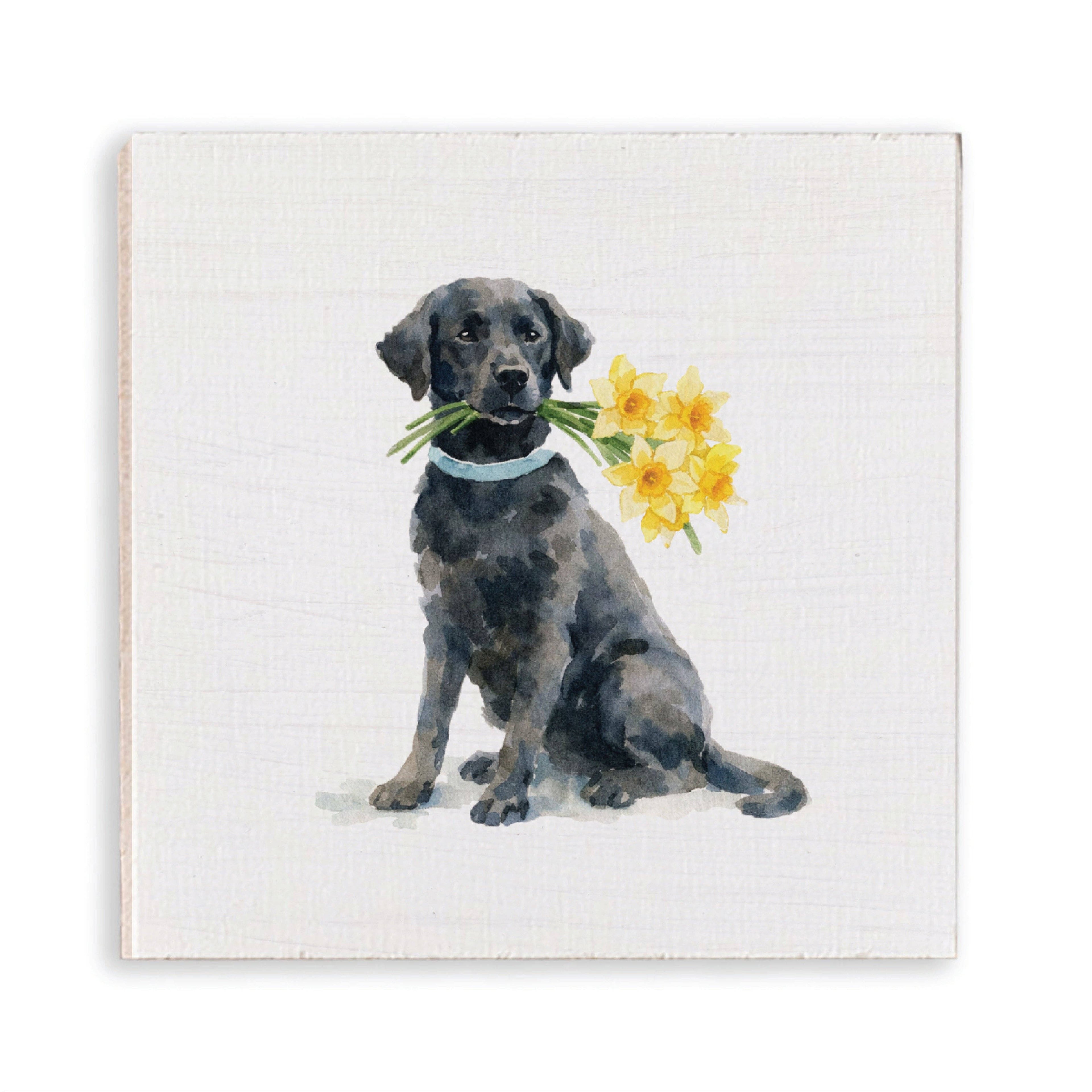 Daffodil Dog Magnet | Wooden Magnet | Dog Decor