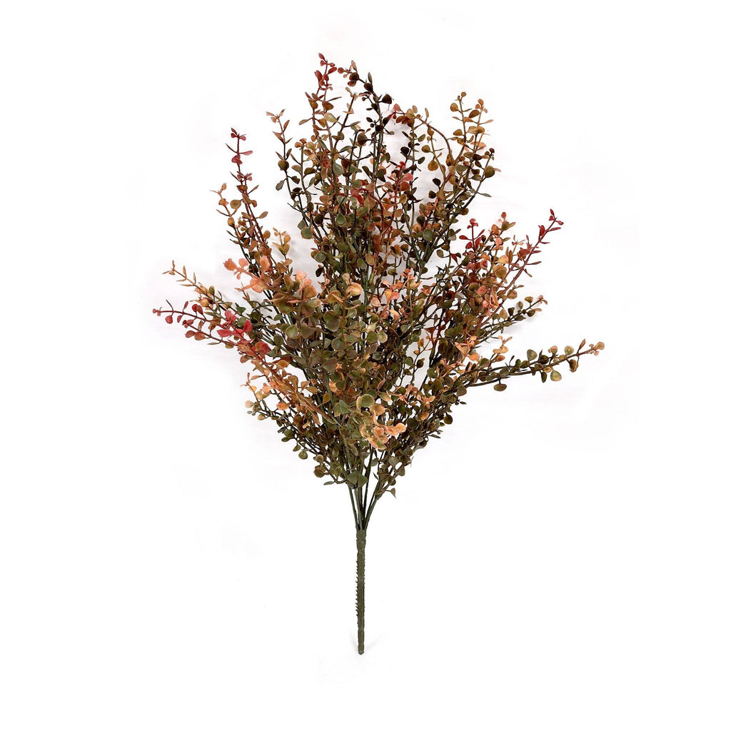 Red Baby's Grass Bush 21"